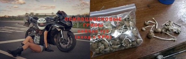 шишки Нефтегорск