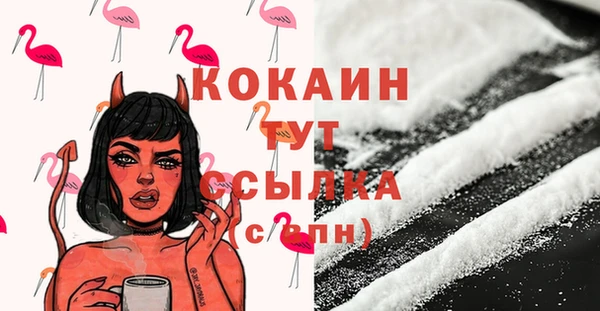 шишки Нефтегорск